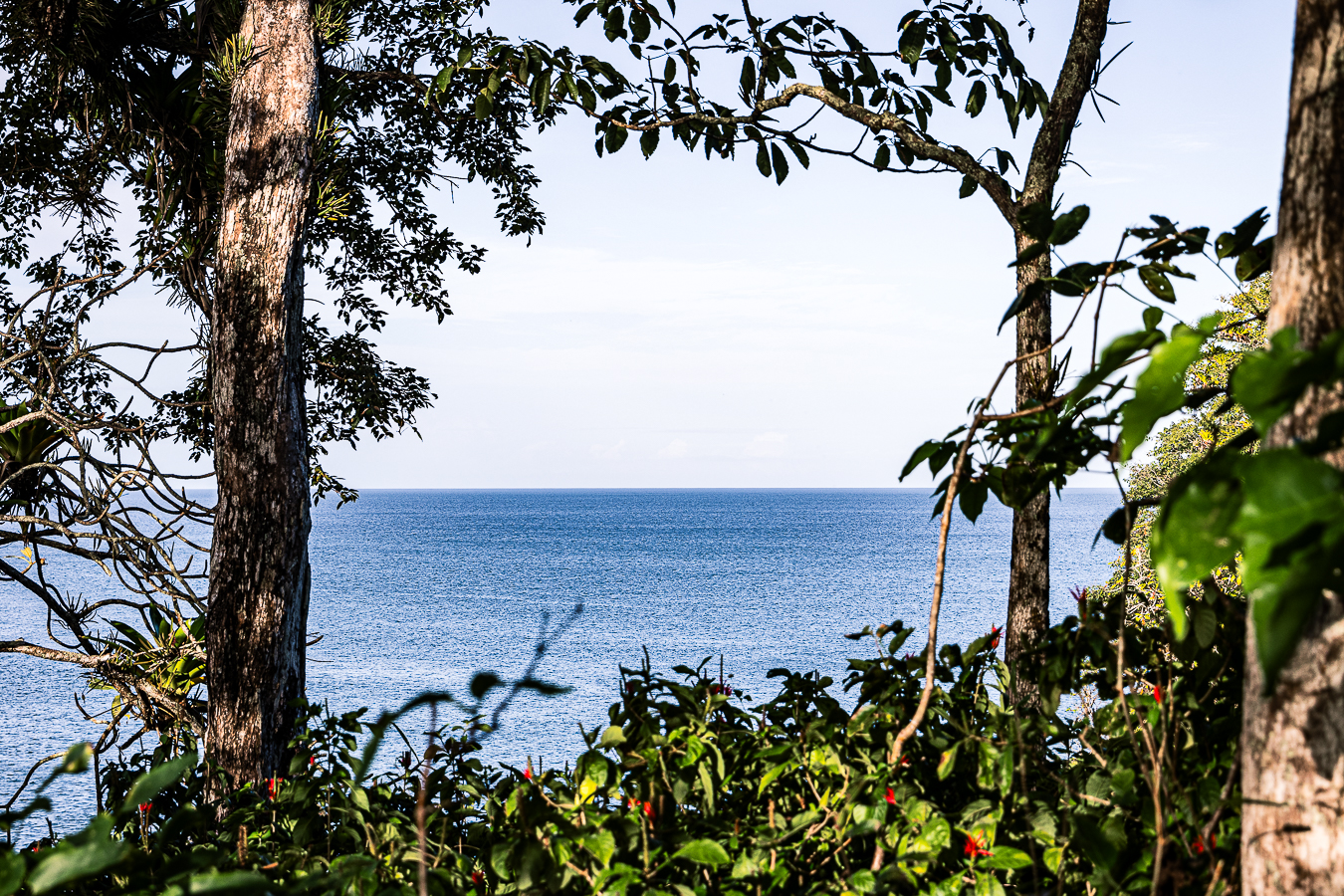 Vista aérea de Isla Selaví con mar azul infinito